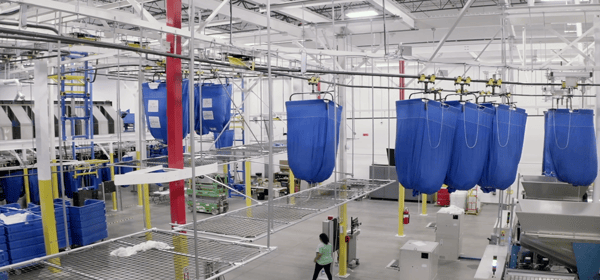 Softrol's Directed Garment Sortation System Improves Plant Efficiency 